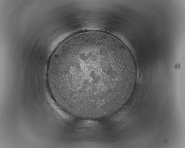 X0000112830437200908211220