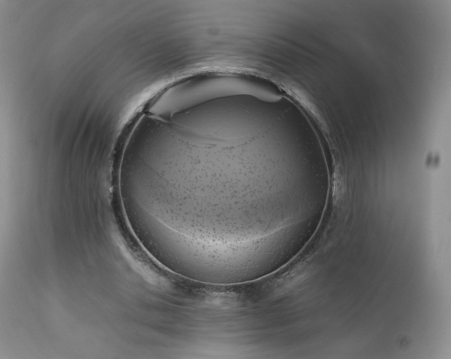 X0000112830438200908211220