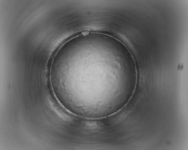 X0000112830439200908211220