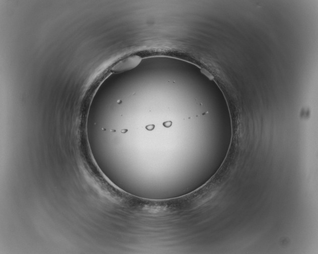 X0000112830440200908211220