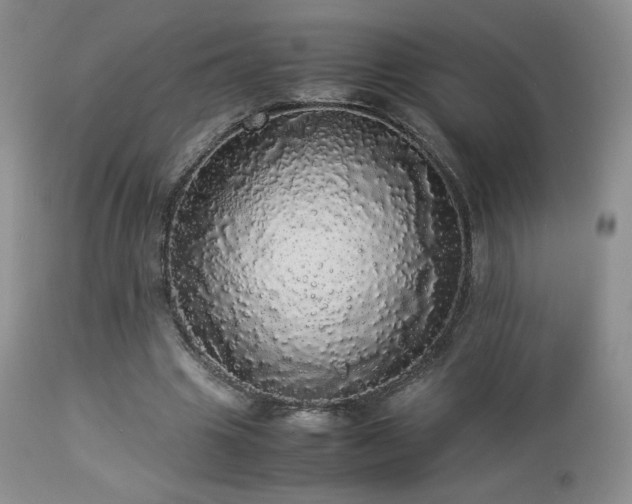 X0000112830441200908211220