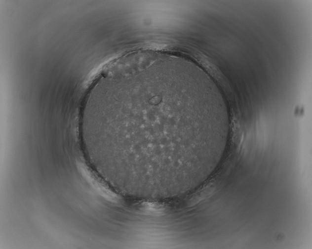 X0000112830442200908211220