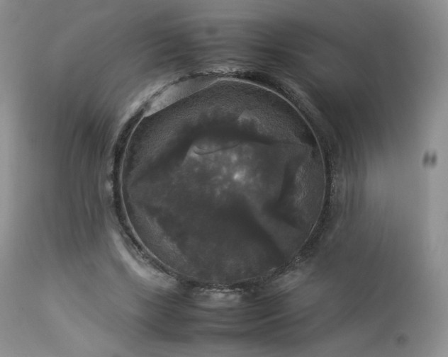 X0000112830443200908211220