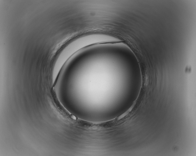 X0000112830444200908211220