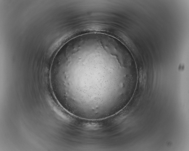 X0000112830445200908211220