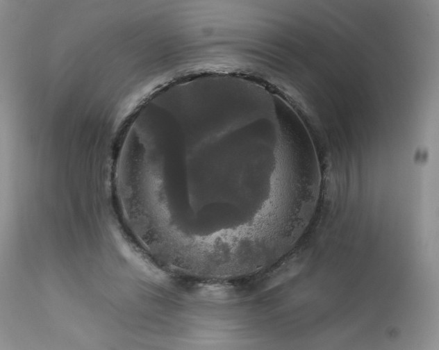 X0000112830446200908211220