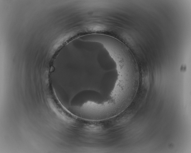 X0000112830447200908211220