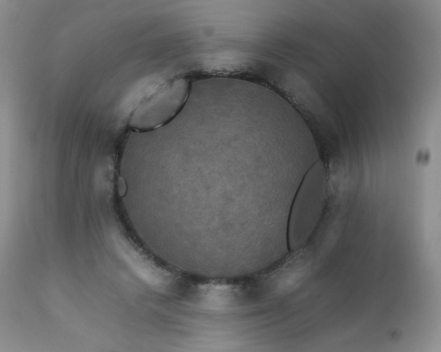 X0000112830448200908211220