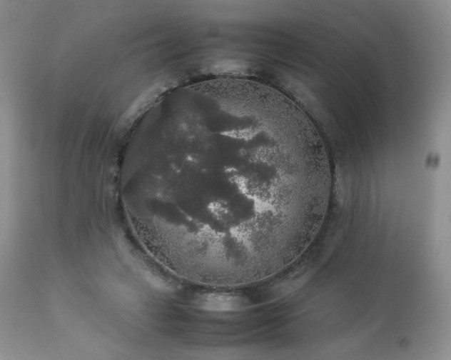 X0000112830449200908211220