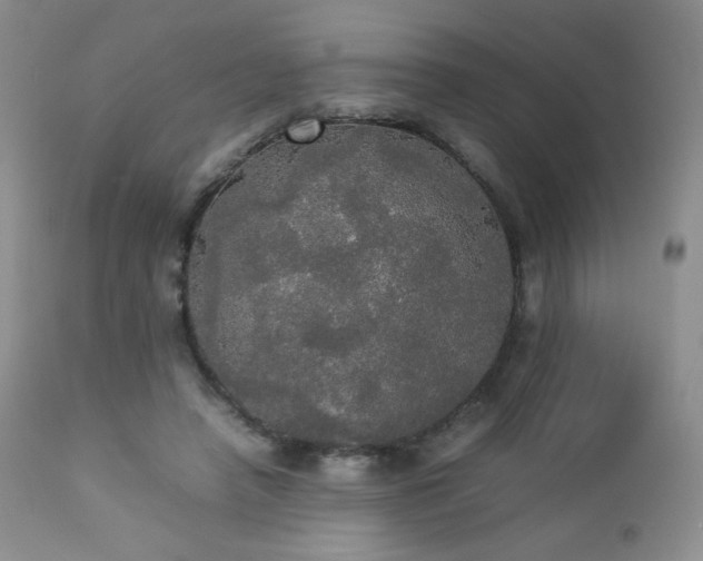 X0000112830450200908211220