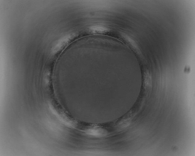 X0000112830451200908211220