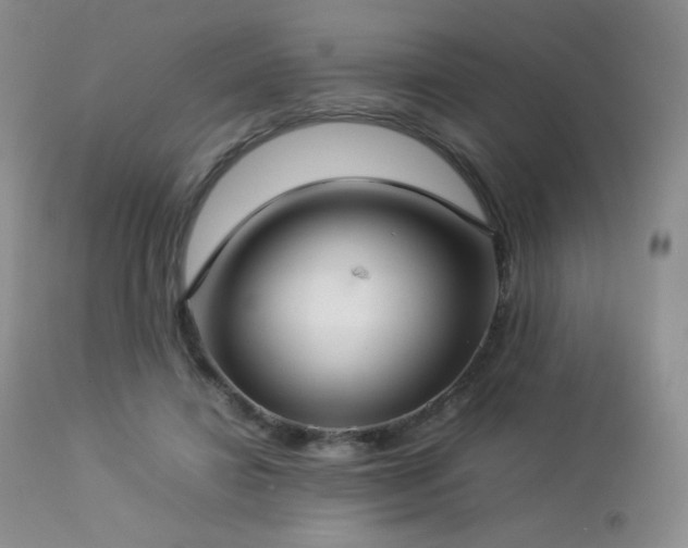 X0000112830452200908211220