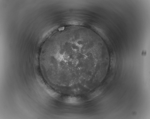 X0000112830453200908211221