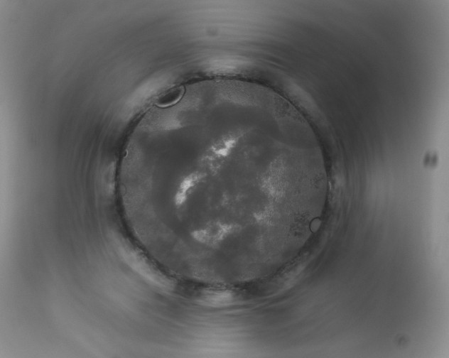 X0000112830454200908211221