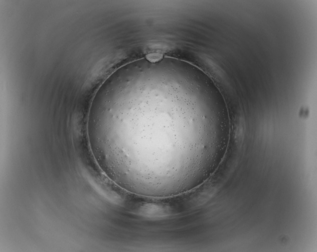 X0000112830455200908211221