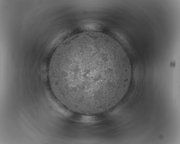 X0000112830457200908211221