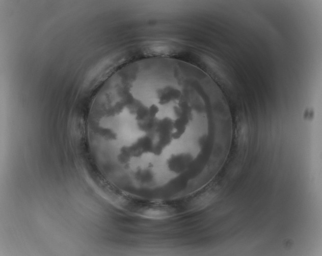 X0000112830459200908211221