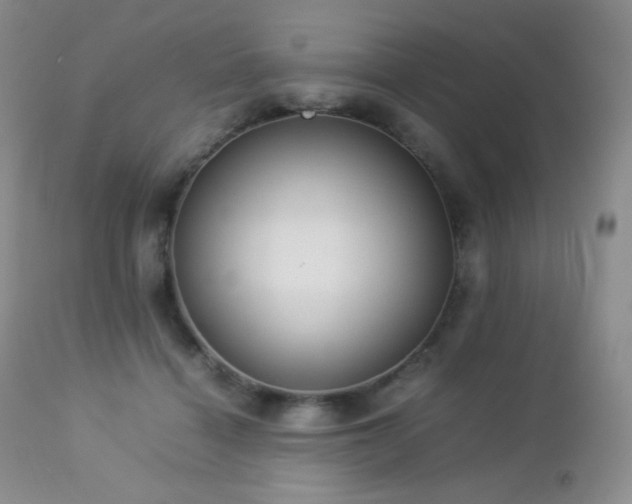 X0000112830460200908211221