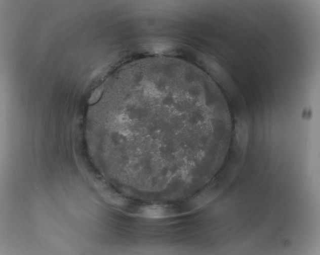 X0000112830461200908211221