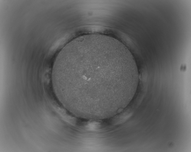 X0000112830462200908211221