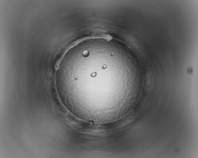 X0000112830463200908211221