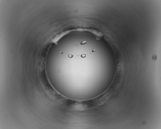 X0000112830464200908211221