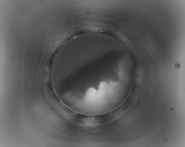 X0000112830465200908211221