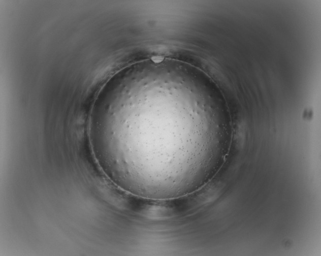 X0000112830466200908211221