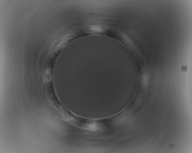 X0000112830467200908211221