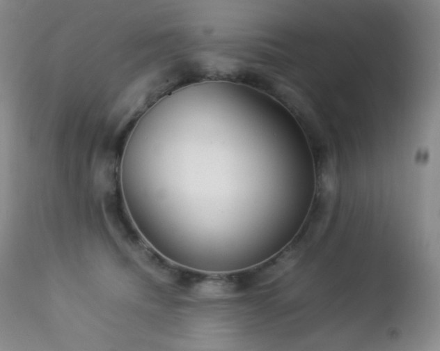 X0000112830468200908211221