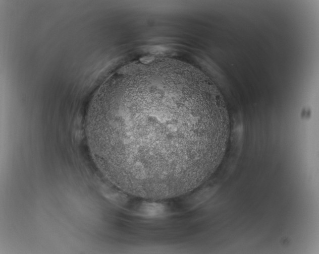 X0000112830469200908211221