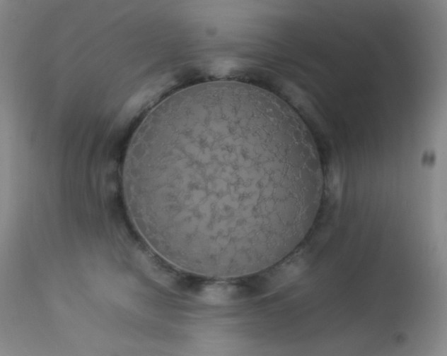 X0000112830470200908211221