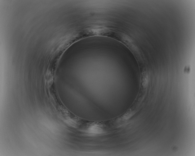 X0000112830471200908211221