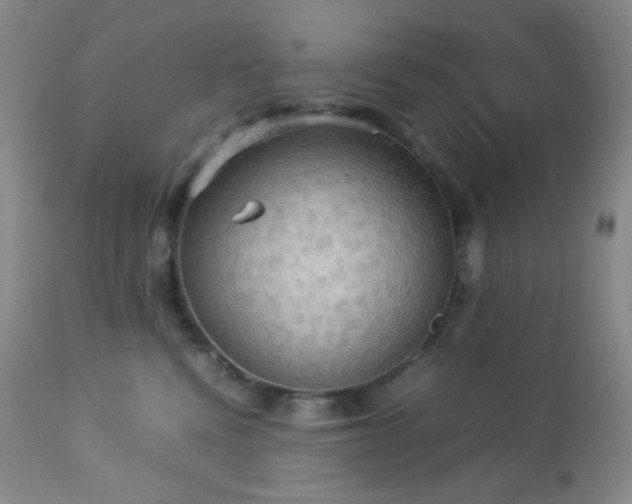 X0000112830472200908211221