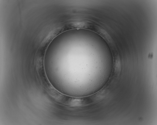 X0000112830473200908211221