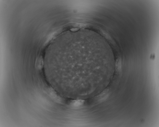 X0000112830474200908211221