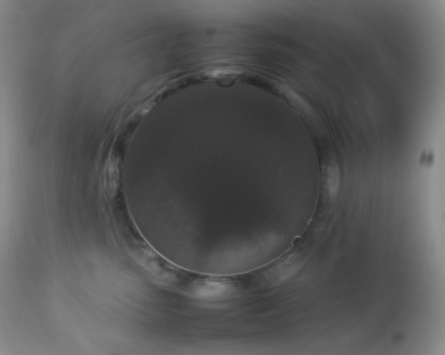 X0000112830475200908211221