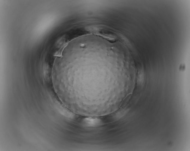 X0000112830477200908211221