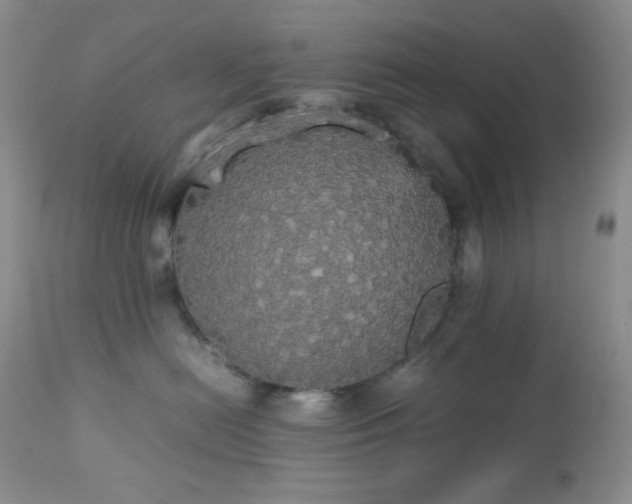 X0000112830478200908211221