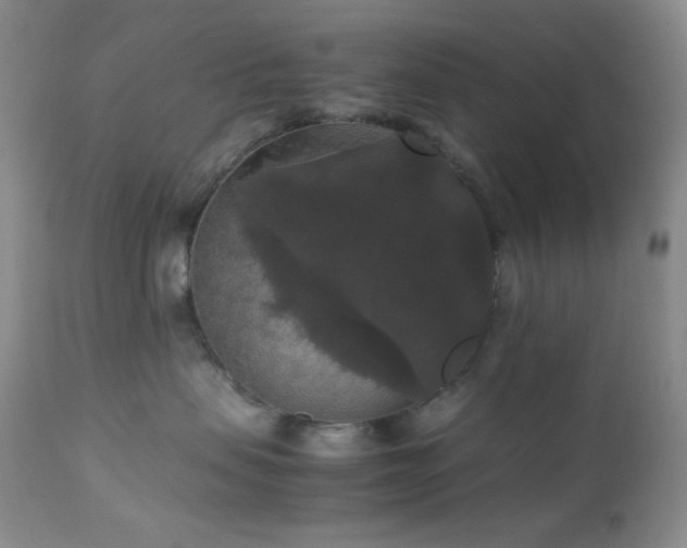 X0000112830479200908211221