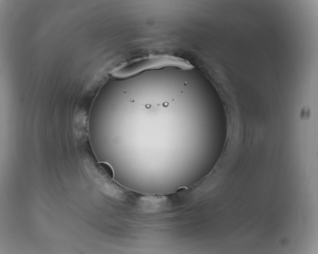 X0000112830480200908211221