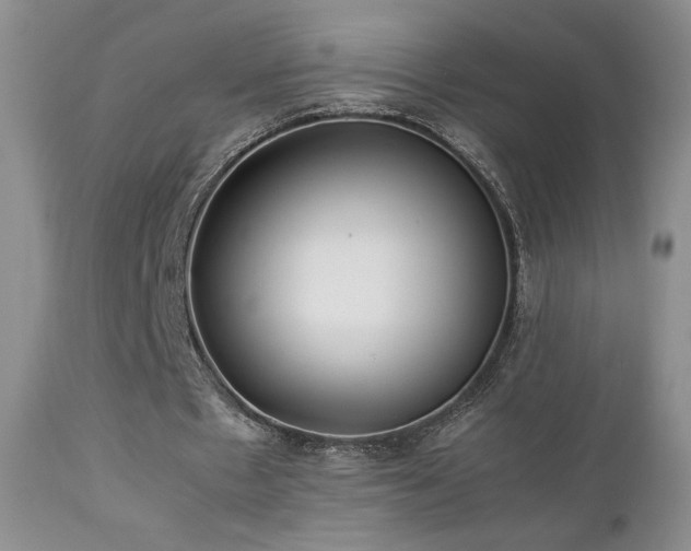 X0000112830481200908211220