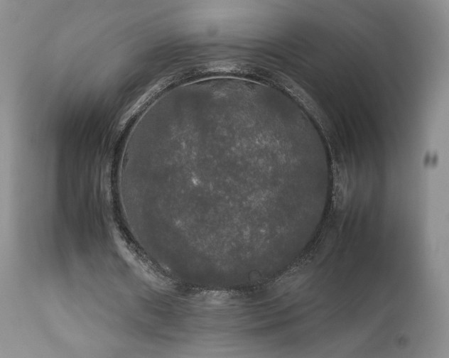 X0000112830482200908211220