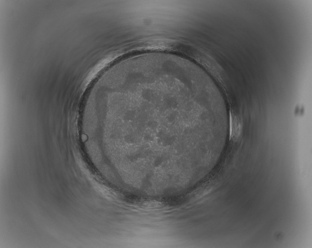 X0000112830483200908211220