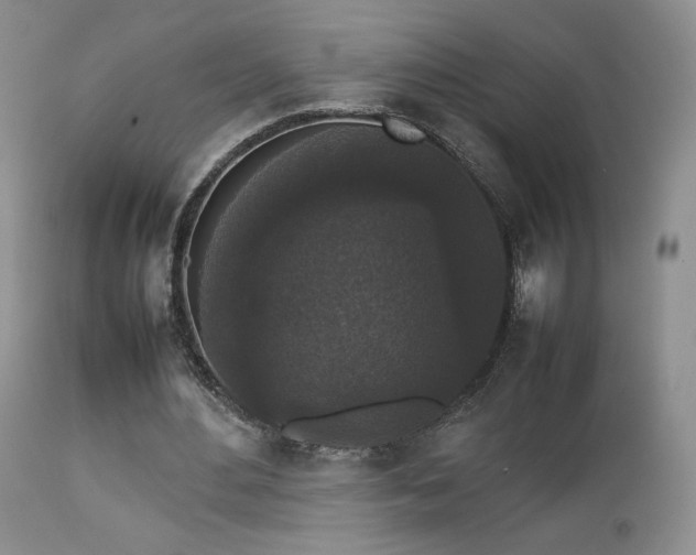 X0000112830484200908211220