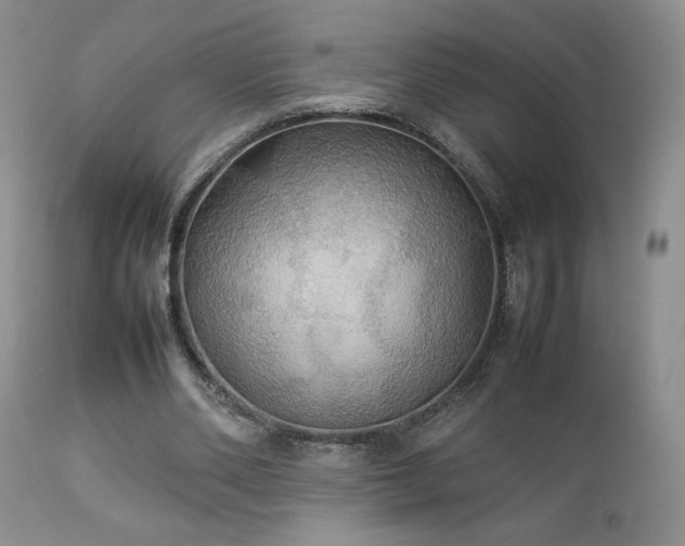 X0000112830486200908211220