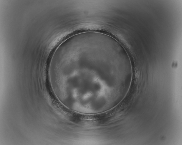 X0000112830487200908211220