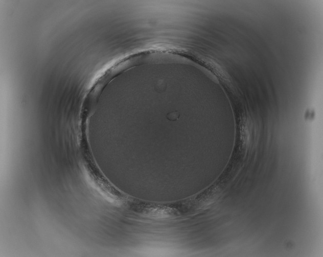 X0000112830488200908211220