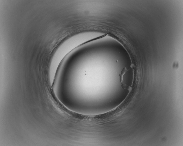 X0000112830489200908211220