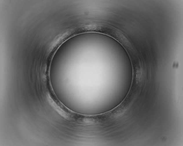 X0000112830490200908211220